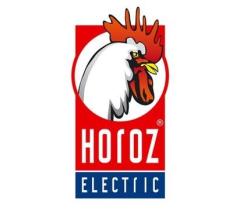 HOROZ ELECTRIC H310223 - LAMPARA GLOBO 20W 3000K E27